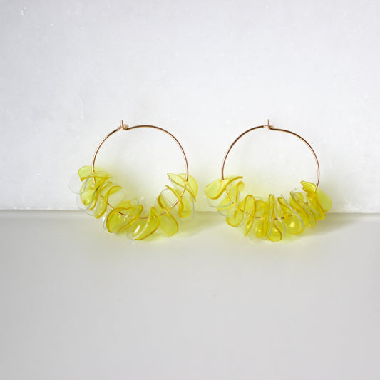 Illuminating Hoops